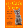 The Cat's Meow: How Cats Evolved from the Savanna to Your Sofa