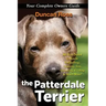 The Patterdale Terrier