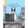 The Adventures of Carlos: Carlos Goes to the Hospital