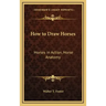 How to Draw Horses: Horses in Action, Horse Anatomy