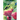 Hydroponics for Beginners: The Cheapest and Easiest DIY Guide to Quickly Build a Hydroponic System at Home and Start Growing Organic Fruits, Herb