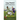 Leg Power: Victor Wanyama