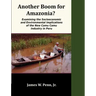Another Boom for Amazonia?: Examining the Socioeconomic and Environmental Implications of the New Camu Camu Industry in Peru