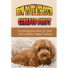 How To Teach Your Cavapoo Puppy: Everything You Need For Your New Cavapoo Puppy Training: Fun Facts About Cavapoo