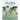 Africa 2020-2022