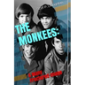 The Monkees: A Many Fractured Image