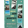 Drive Here and Devastate Me