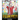 Federer: The Children's Book. Fun Illustrations. Inspirational and Motivational Life Story of Roger Federer- One of the Best Te