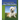 Canine and Feline Nutrition: A Resource for Companion Animal Professionals