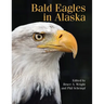 Bald Eagles in Alaska