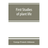 First studies of plant life