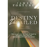 Destiny Derailed: How to Get Your Life Back on Track by Leveraging Your Past and Repurposing Your Pain into Power