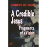 A Credible Jesus: Fragments of a Vision