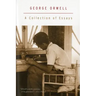 A Collection of Essays