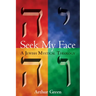 Seek My Face: A Jewish Mystical Theology