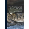 The Anatomy of the Salamander