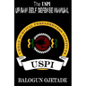 The USPI Urban Self Defense Manual