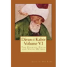Divan-i Kabir, Volume VI: The Fourth, Fifth and Sixth Meters