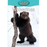 Wolverines