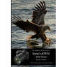 The Friedman Archives Guide to Sony's A7R IV (B&W Edition)