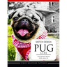 SKETCH DESIGN PUG LIFE Coloring Book for Adults