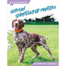 German Shorthaired Pointers