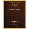 Magnetic Current