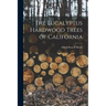 The Eucalyptus Hardwood Trees of California