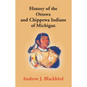 History Of The Ottawa And Chippewa Indians Of Michigan: A Grammar Of Their Language, And Personal And Family History Of The Author