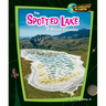 The Spotted Lake of British Columbia
