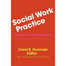 Social Work Practice: People and Environments: An Ecological Perspective