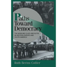 Paths Toward Democracy: The Working Class and Elites in Western Europe and South America