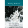 Revising the Storm