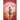 The Last Rose
