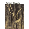 Spirit Power: Politics and Religion in Korea's American Century