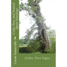 Celtic Tree and Animal Spirit Astrology: Celtic Tree Signs