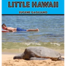 Little Hawaii
