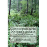 Connecting with Nature's Angels: The World of Faeries, Elementals & Nature Spirits