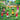 Kids On Earth: A Children's Documentary Series Exploring Global Cultures & The Natural World: COLLECTION SERIES OF BOOKS 9 10 11