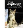 American Shorthair Cat - Kids Explore: Animal books nonfiction - books ages 5-6