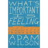 What's Important Is Feeling