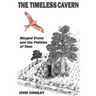 The Timeless Cavern: Marged Evans and the Pebbles of Time