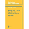 Numerical Linear Algebra for Applications in Statistics
