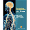 Neuroanatomy and Neuroscience at a Glance