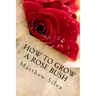 How To Grow A Rose Bush