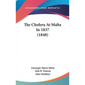 The Cholera At Malta In 1837 (1848)