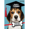 Puppy Training: An Essential Guide for Everything You Need to Know To Train A Perfect Dog.