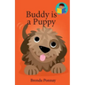 Buddy is a Puppy