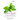 Sweet Basil - Ocimum basilicum- The Essential Oil of Empowerment: How To Heal The Mind Body Spirit With Medicinal Plants And Aromatherapy