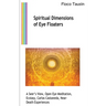 Spiritual Dimensions of Eye Floaters: A Seer's View, Open Eye Meditation, Ecstasy, Carlos Castaneda, Near-Death Experiences